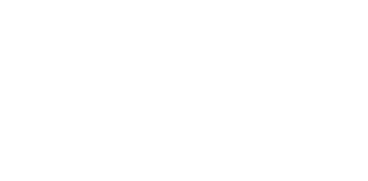 University of Washington Logo